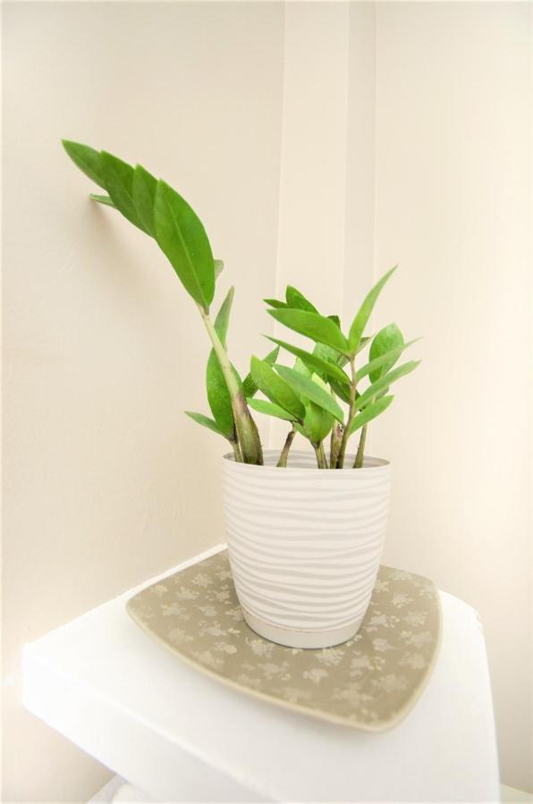 גדינייה Apartament Batory מראה חיצוני תמונה